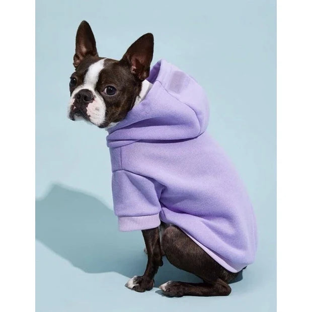 Roupa de Frio Moletom Pet de Inverno Para Cachorro