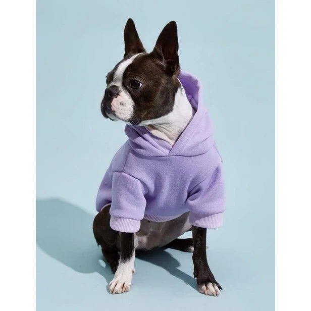 Roupa de Frio Moletom Pet de Inverno Para Cachorro