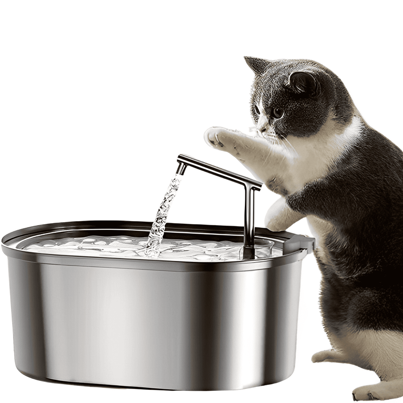 Fonte Bebedouro Para Gatos em Aço Inox 3,2L