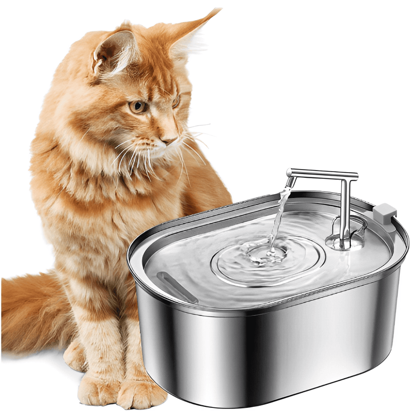 Fonte Bebedouro Para Gatos em Aço Inox 3,2L