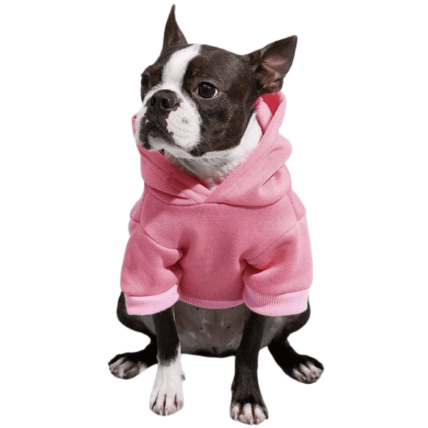 Roupa de Frio Moletom Pet de Inverno Para Cachorro