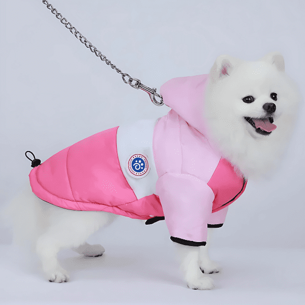 Roupa De Frio Para Cachorro - Winter Coat