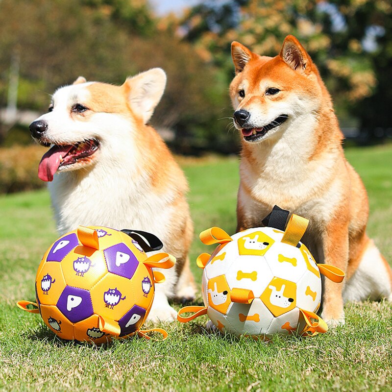 Brinquedo para Cachorro - Bola Interativa