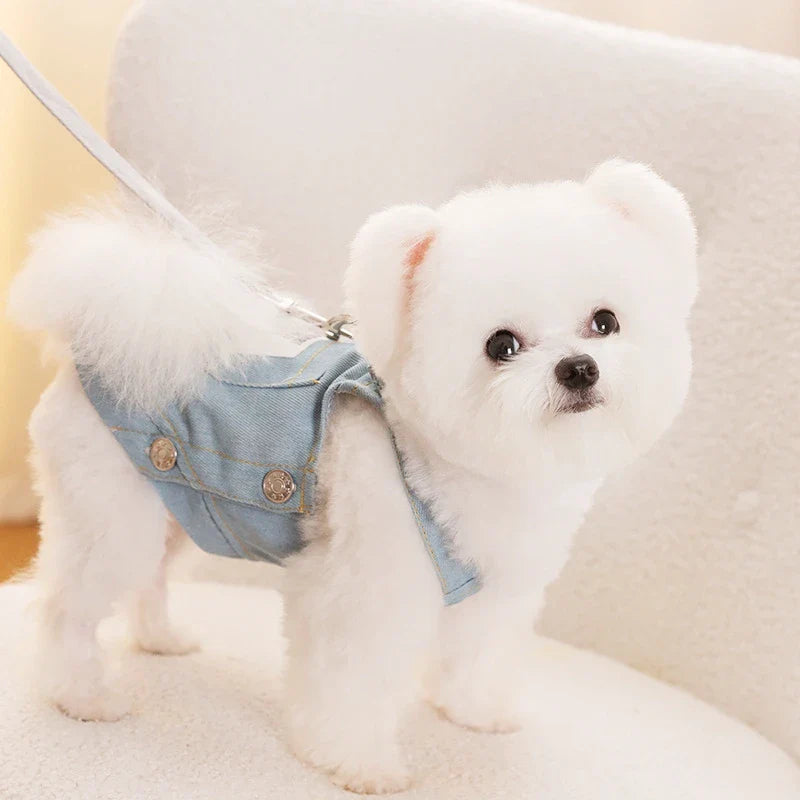 Roupa Jeans Para Cachorro - Puppy Fashion