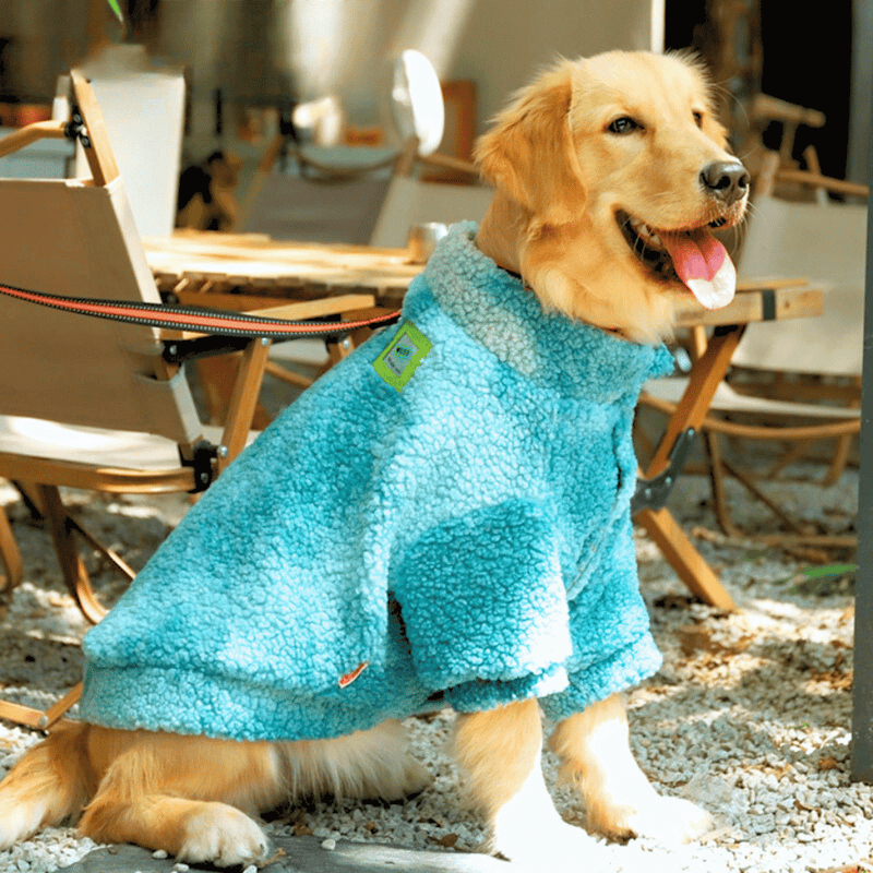 Roupa de Frio para Cachorro de Médio e Grande Porte - Pet Deluxe