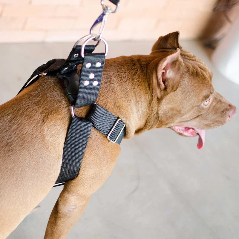 Coleira Peitoral Para Cachorro Médio e Grande Porte - Anti Puxão