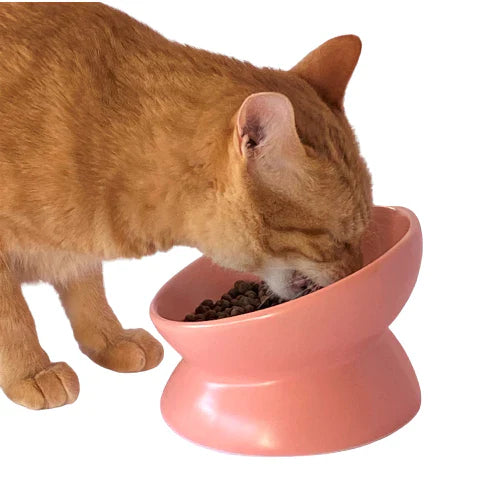 Comedouro para Gatos de Cerâmica Elevado Ergonômico Pet Premium