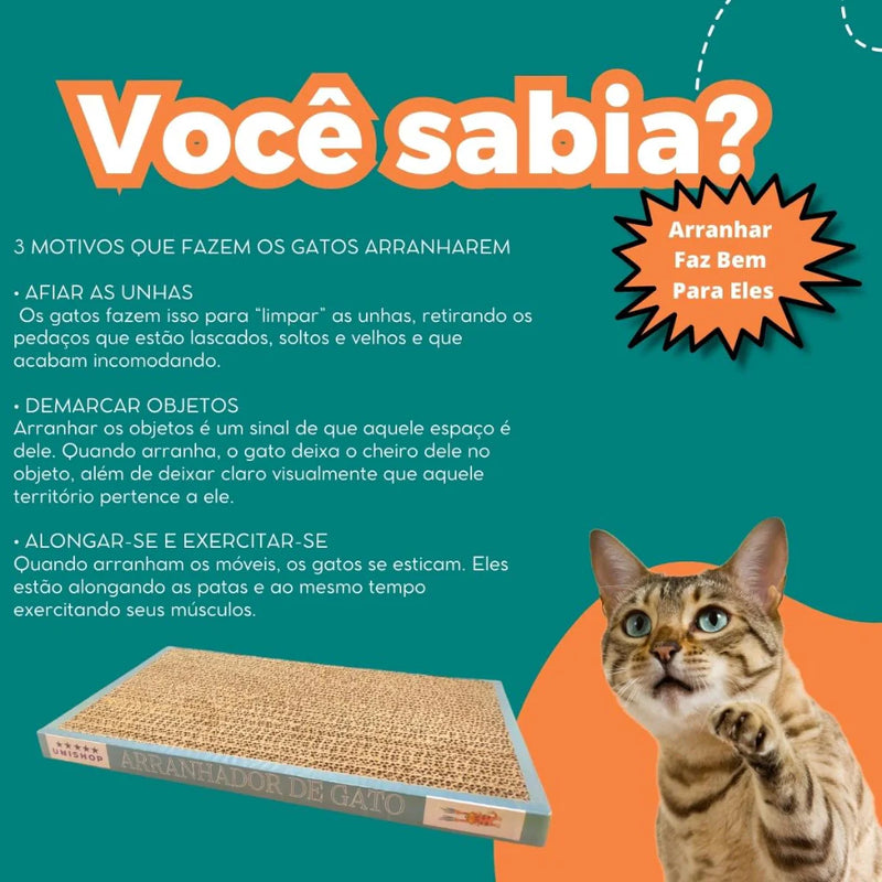 Arranhador Para Gato - Brinquedo Anti Estresse (Compre 1, Leve 2)