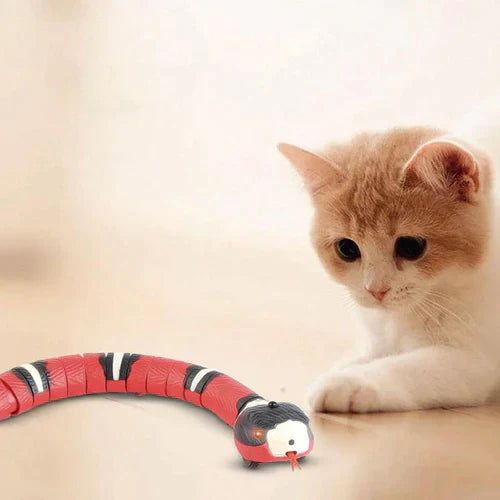 Brinquedo para Gatos - SnakeTeasers