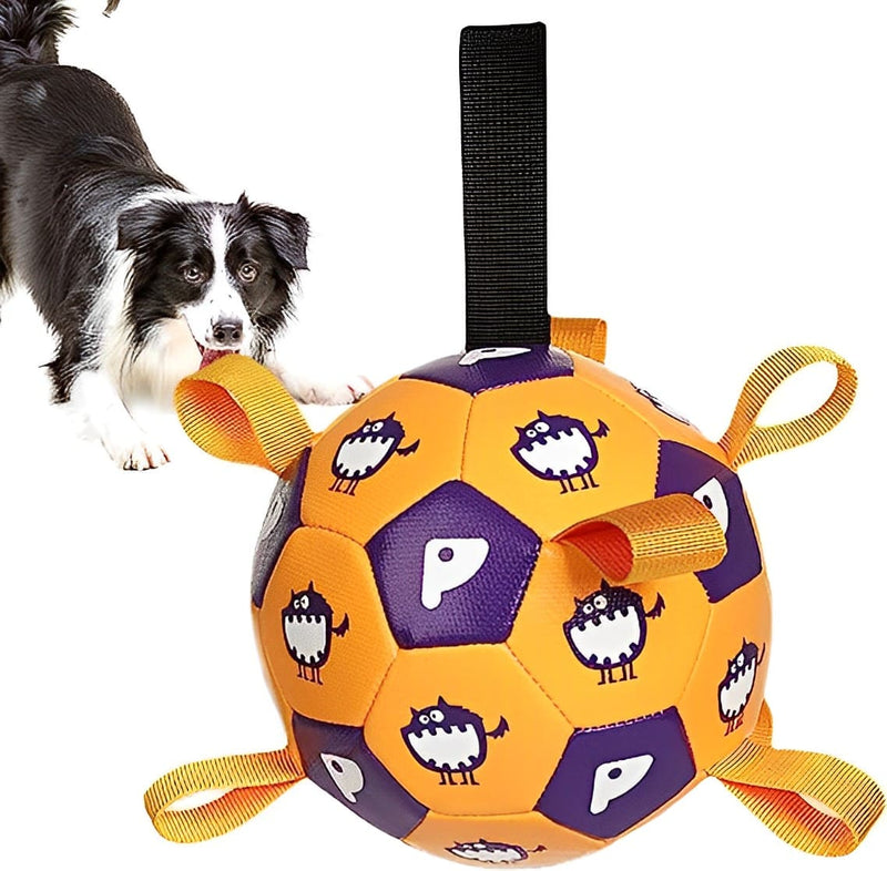 Brinquedo para Cachorro - Bola Interativa